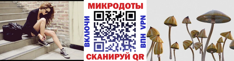 Галлюциногенные грибы мицелий  где можно купить наркотик  OMG маркетплейс  Тайшет 